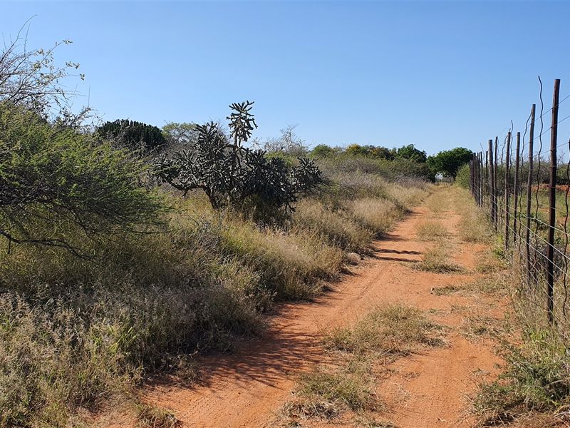 Livestock and game farm for sale Bandelierkop - Photo 8