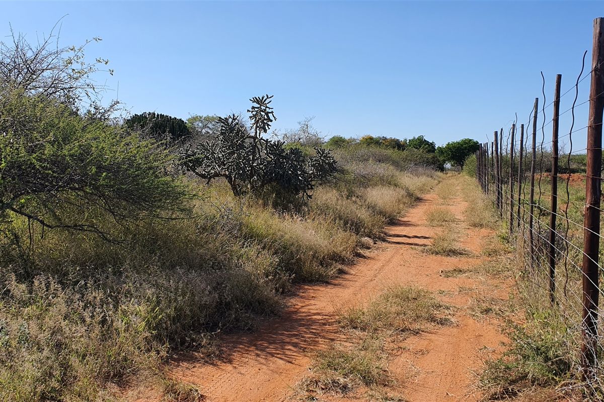 A view of a rural farm property featuring a dirt track alongside a wire fence and natural vegetation.