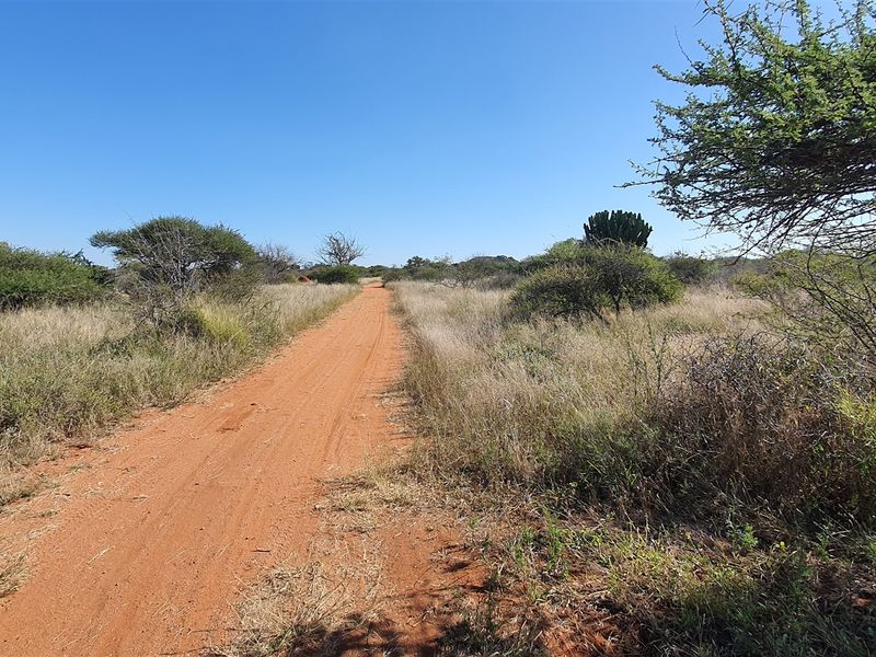 Livestock and game farm for sale Bandelierkop - Photo 10