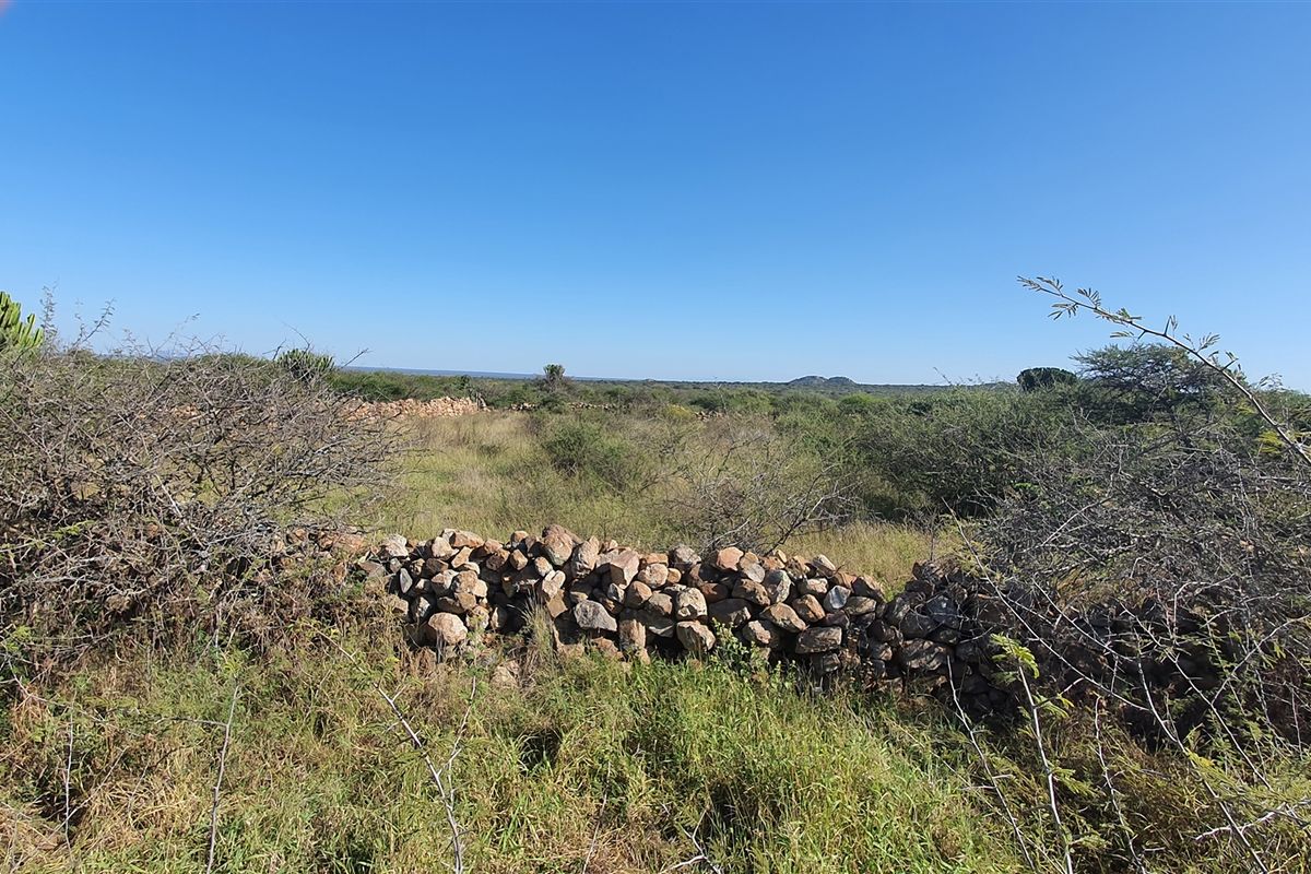 Livestock and game farm for sale Bandelierkop - Photo 2