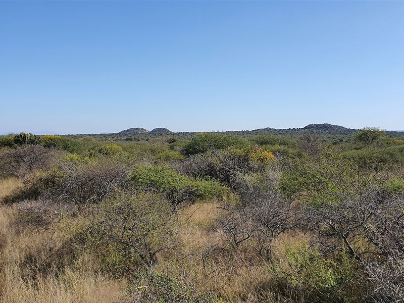 Livestock and game farm for sale Bandelierkop - Photo 9