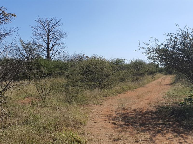 Livestock and game farm for sale Bandelierkop - Photo 7