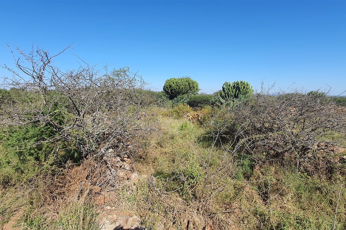 Livestock and game farm for sale Bandelierkop - Photo 3