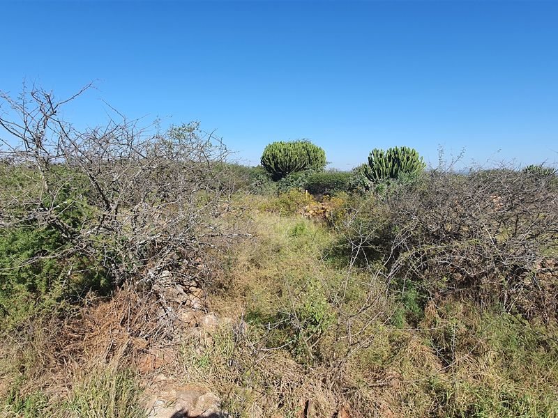 Livestock and game farm for sale Bandelierkop - Photo 3