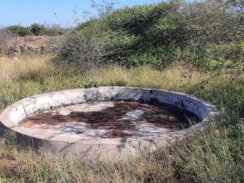 Livestock and game farm for sale Bandelierkop - Photo 5