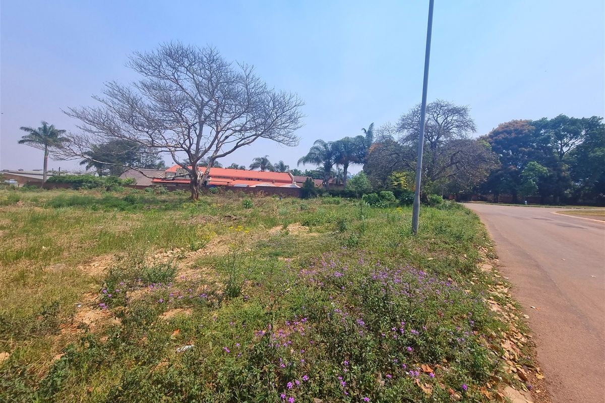 Spectacular commercial erf situated in Louis Trichardt - Photo 2