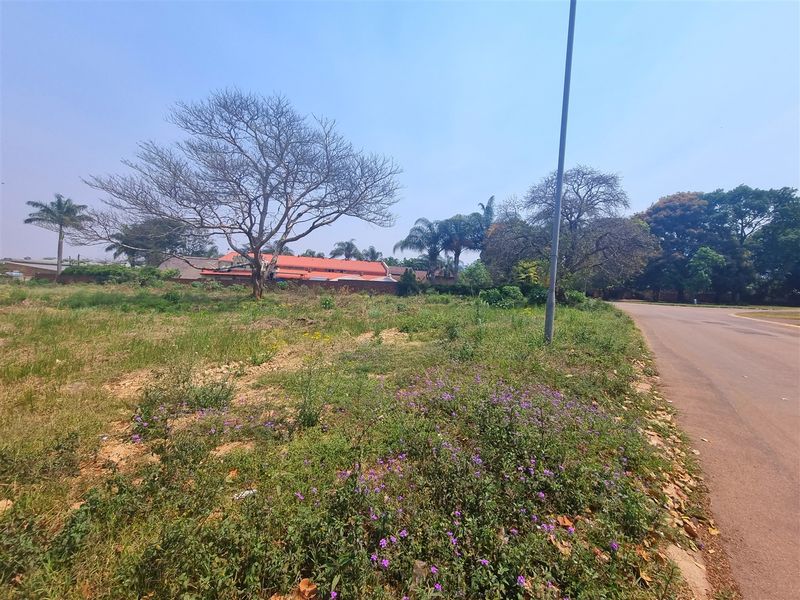 Spectacular commercial erf situated in Louis Trichardt - Photo 2