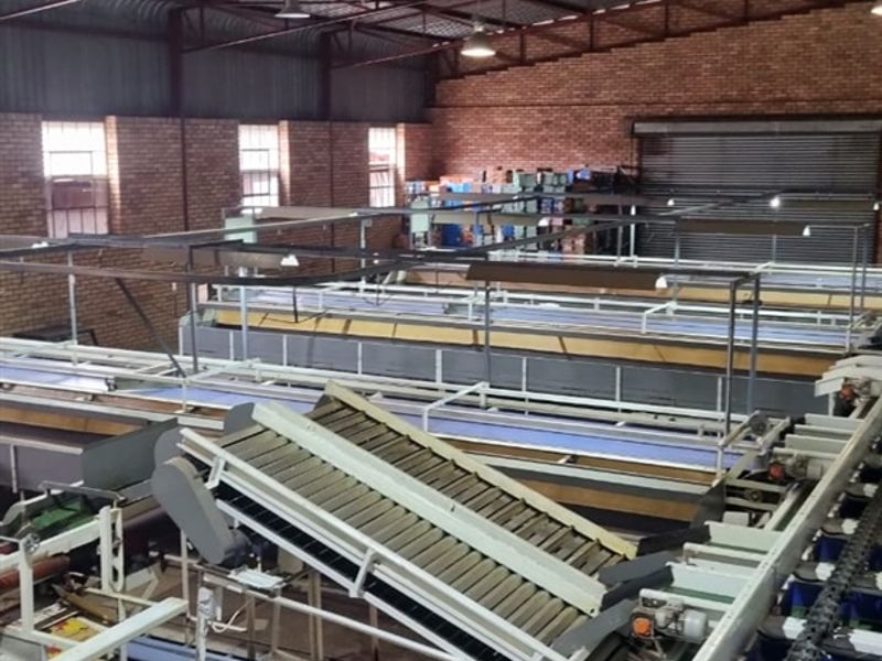 Developed farm in sub-tropical Levubu valley, Limpopo. - Photo 9