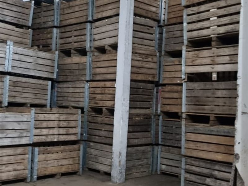 Developed farm in sub-tropical Levubu valley, Limpopo. - Photo 8