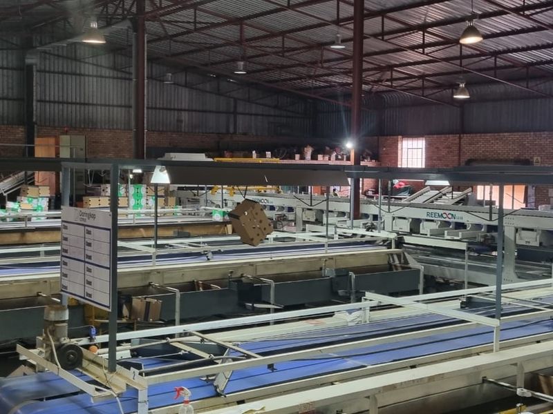 Developed farm in sub-tropical Levubu valley, Limpopo. - Photo 7