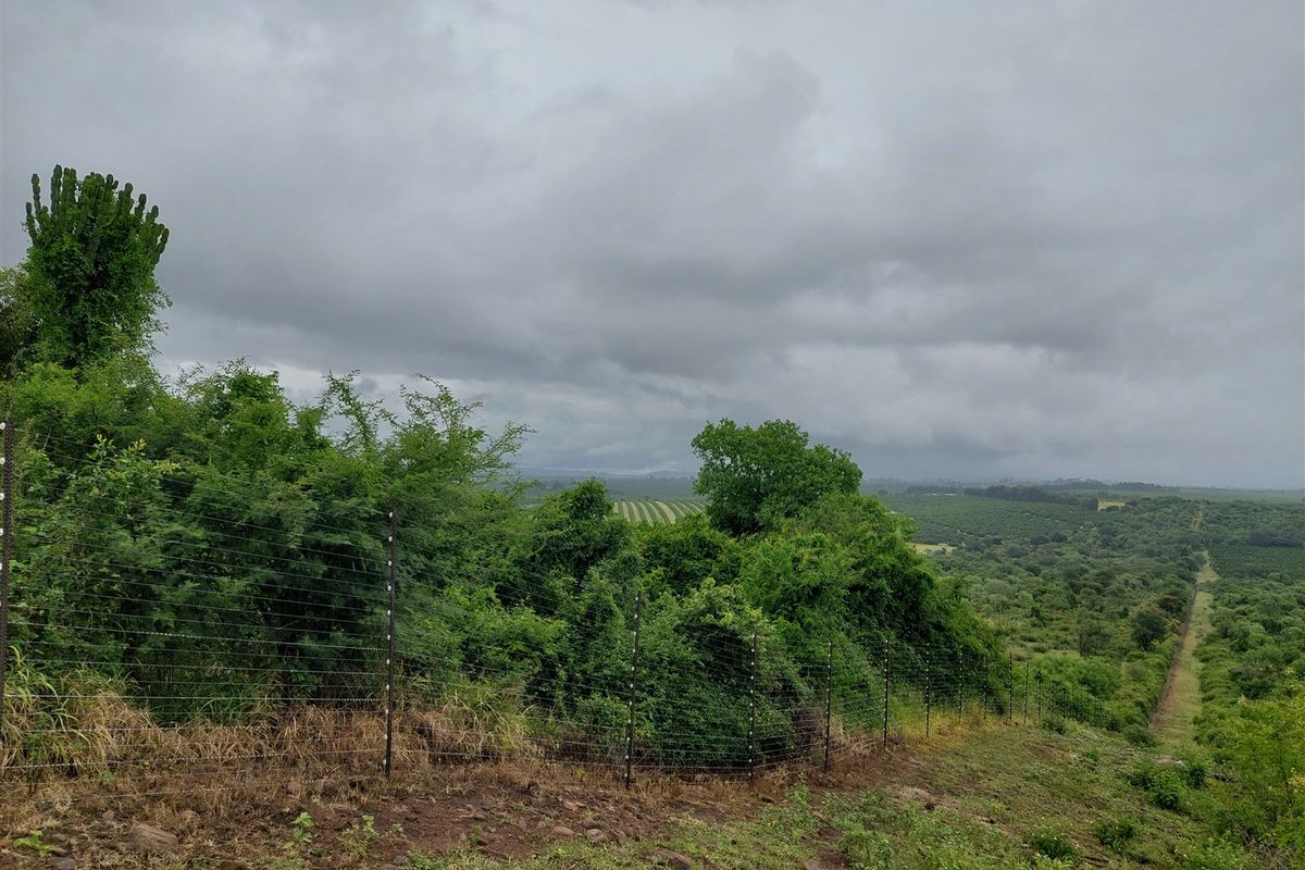 Developed farm in sub-tropical Levubu valley, Limpopo. - Photo 3