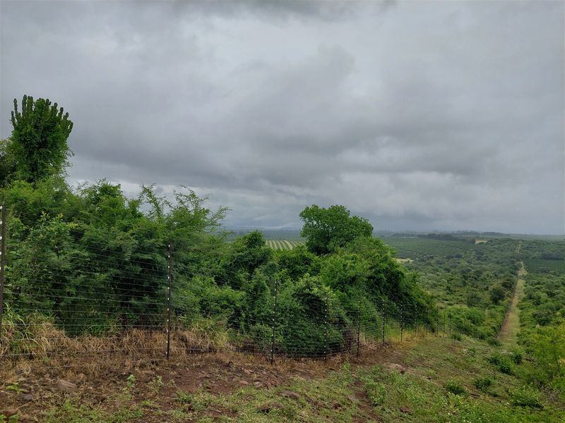 Developed farm in sub-tropical Levubu valley, Limpopo. - Photo 3