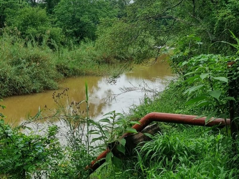 Developed farm in sub-tropical Levubu valley, Limpopo. - Photo 4