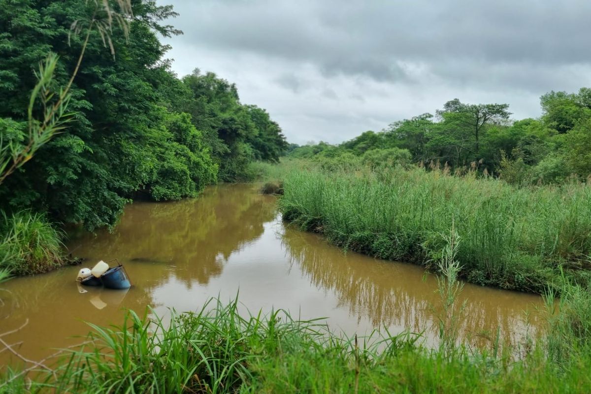 Developed farm in sub-tropical Levubu valley, Limpopo. - Photo 5