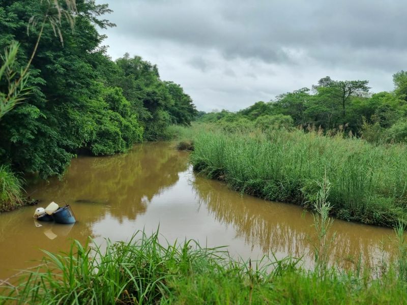 Developed farm in sub-tropical Levubu valley, Limpopo. - Photo 5
