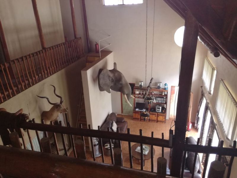 Beautiful breeding and hunting farm for sale in Swartwater - Photo 6