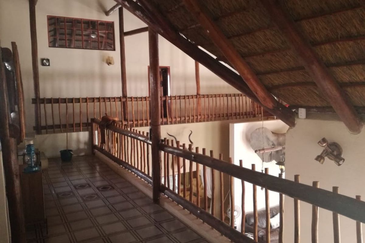Beautiful breeding and hunting farm for sale in Swartwater - Photo 5
