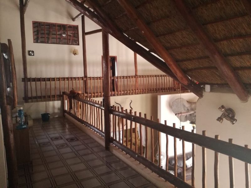 Beautiful breeding and hunting farm for sale in Swartwater - Photo 5
