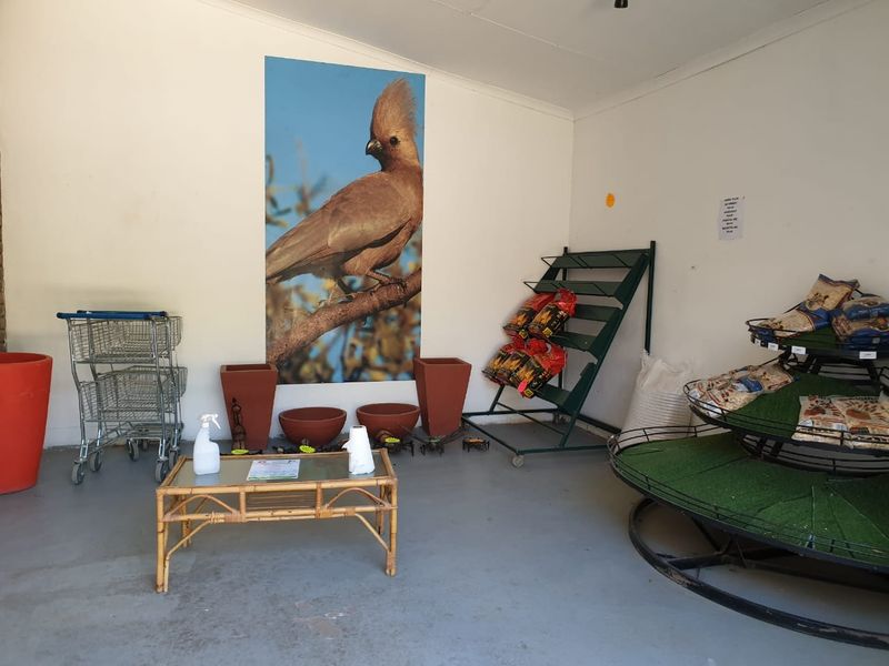 Business Complex for Sale in Waterpoort, Limpopo. - Photo 6