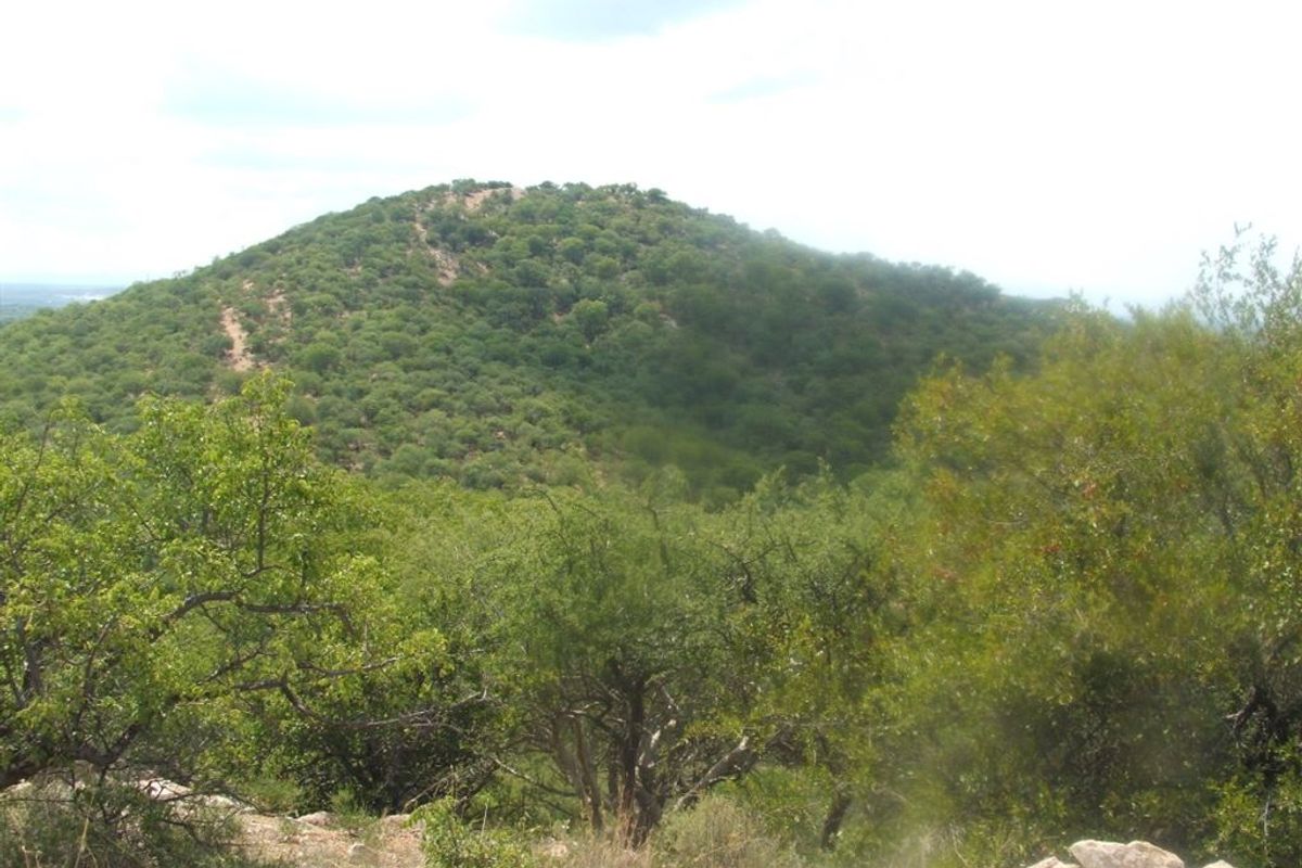 Mopane game farm in Limpopo - It has 7 hills! - Photo 2