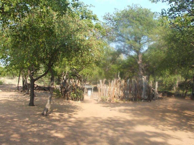 Mopane game farm in Limpopo - It has 7 hills! - Photo 10
