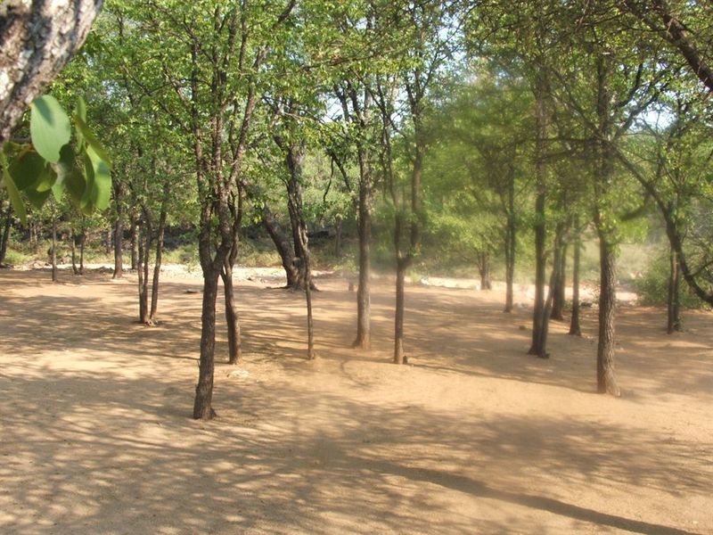 Mopane game farm in Limpopo - It has 7 hills! - Photo 9