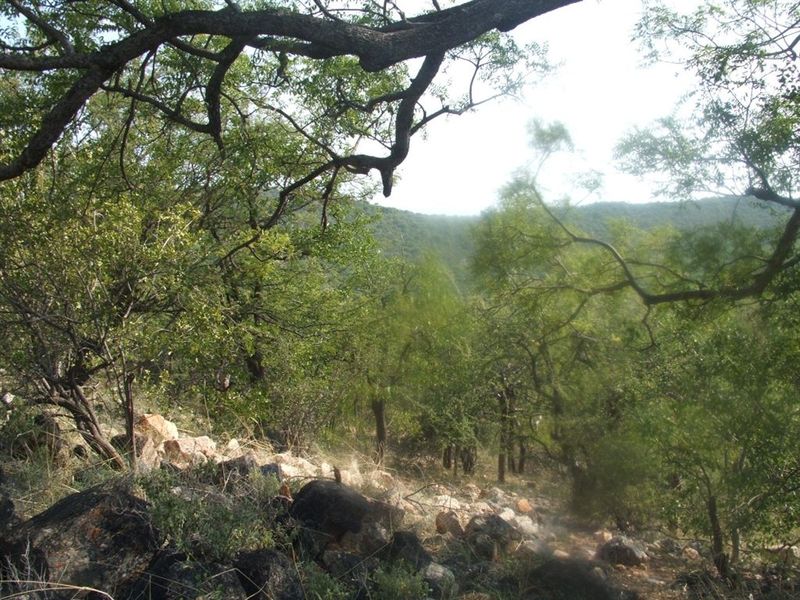 Mopane game farm in Limpopo - It has 7 hills! - Photo 4
