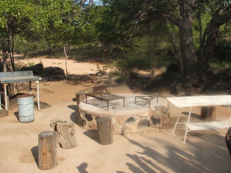 Mopane game farm in Limpopo - It has 7 hills! - Photo 7