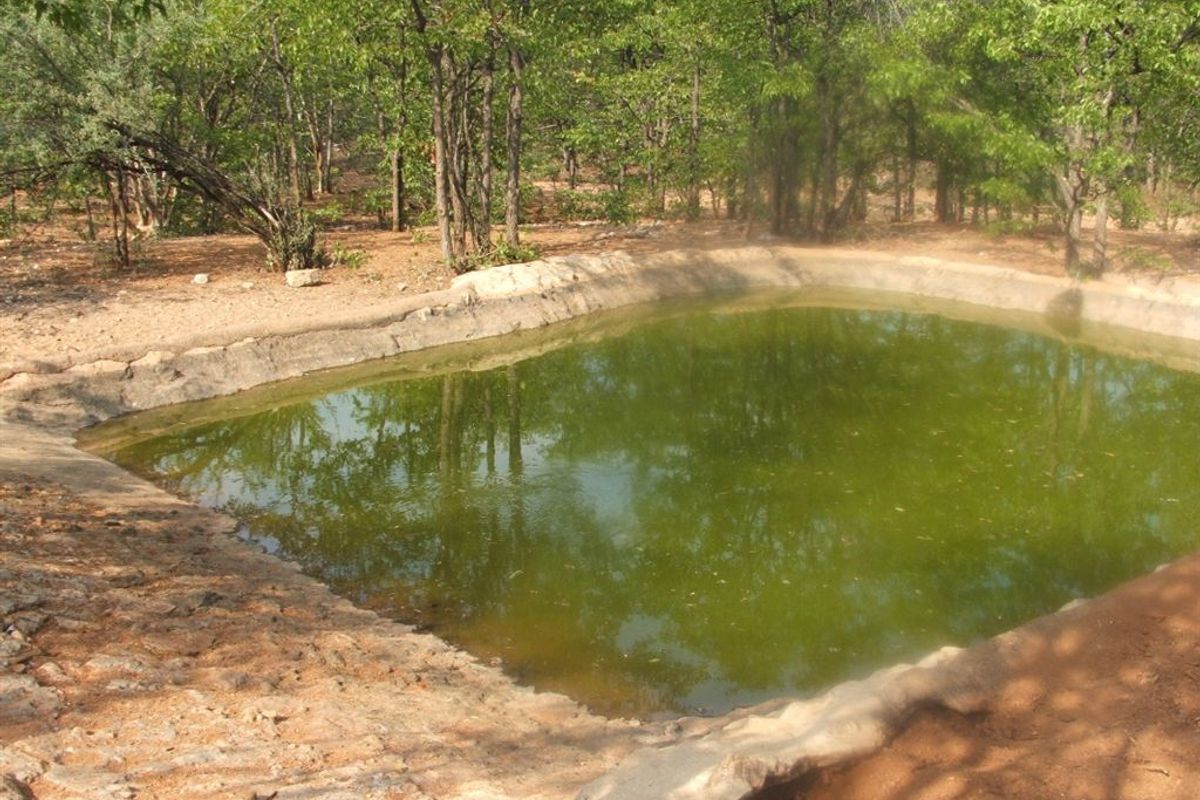 Mopane game farm in Limpopo - It has 7 hills! - Photo 5