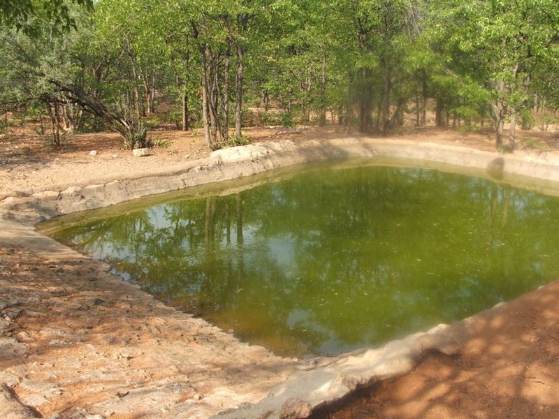Mopane game farm in Limpopo - It has 7 hills! - Photo 5