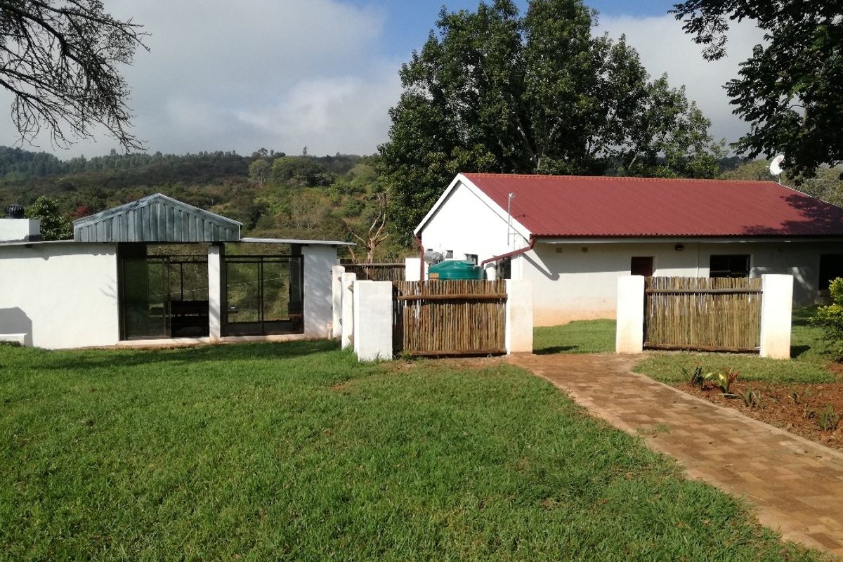 Unique and tranquil farm 8 km from Louis Trichardt, Limpopo. - Photo 3