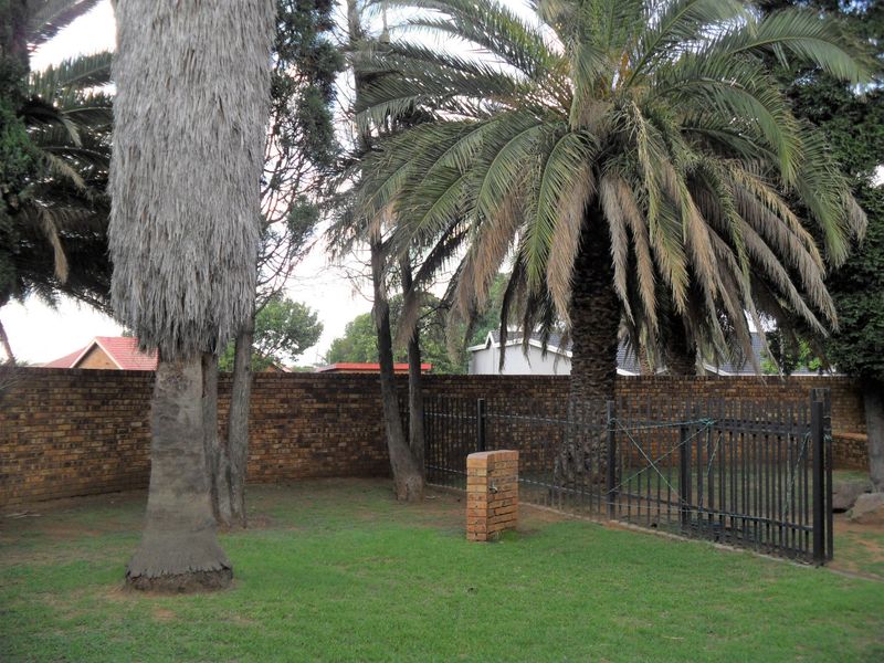 A private garden area featuring a brick boundary wall, metal security fencing, and mature palm trees with an integrated outdoor water tap.