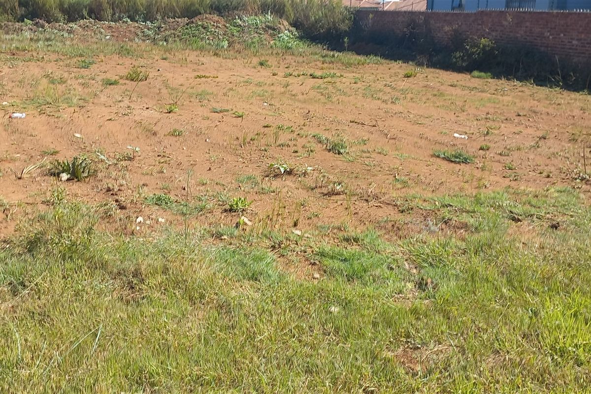 Just Waiting For Your Imagination! - Photo 3