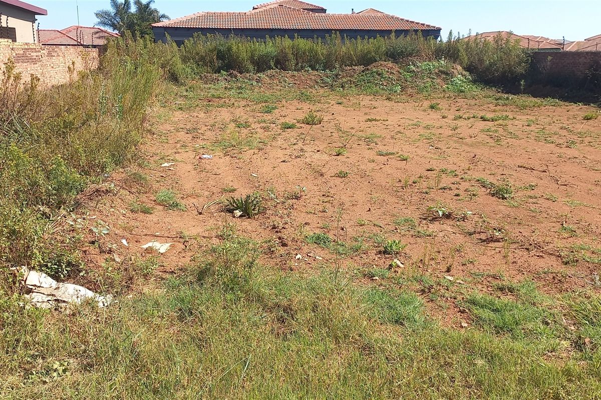 Just Waiting For Your Imagination! - Photo 2