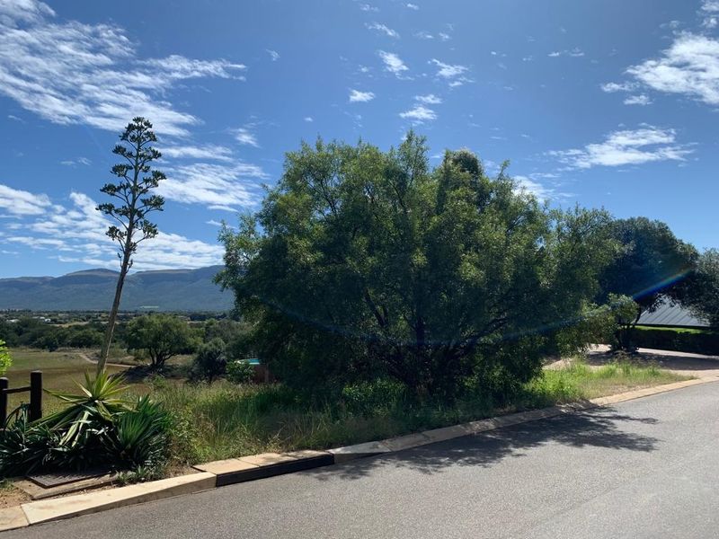 A view of the street frontage and surrounding landscape, featuring established trees, native vegetation, and a clear view of the distant mountains.