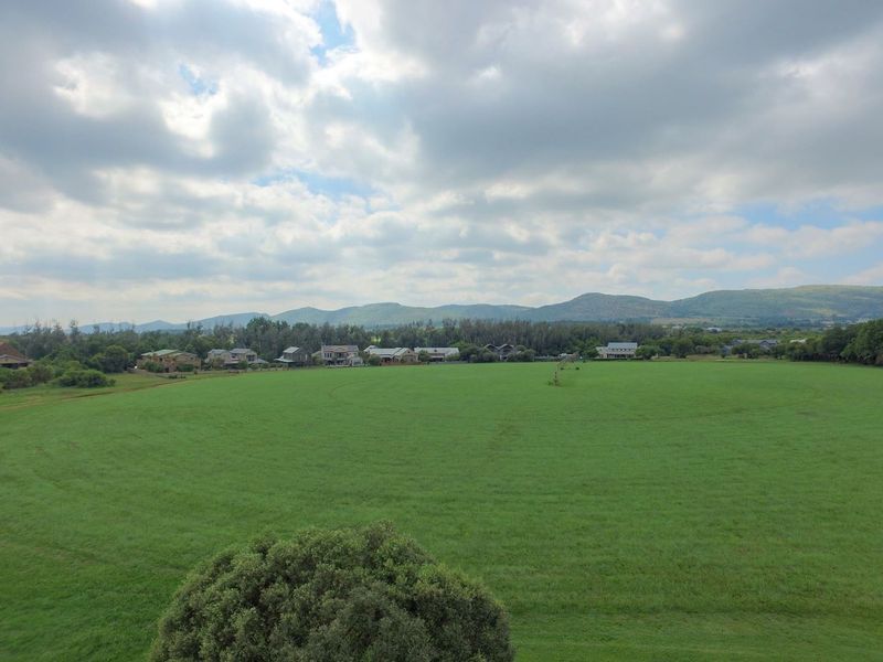 Large Double Stand in Sought After Estate!! - Photo 5