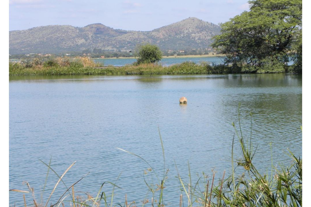 Exceptional opportunity to Develop Land - Photo 4