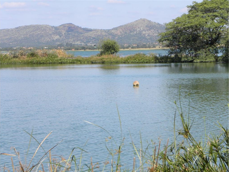 Exceptional opportunity to Develop Land - Photo 4