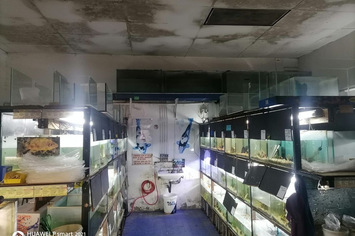 Well-Located Commercial Space for Retail or Service Business - Photo 4