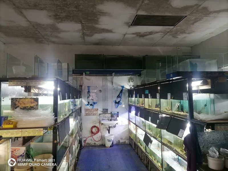 Well-Located Commercial Space for Retail or Service Business - Photo 4