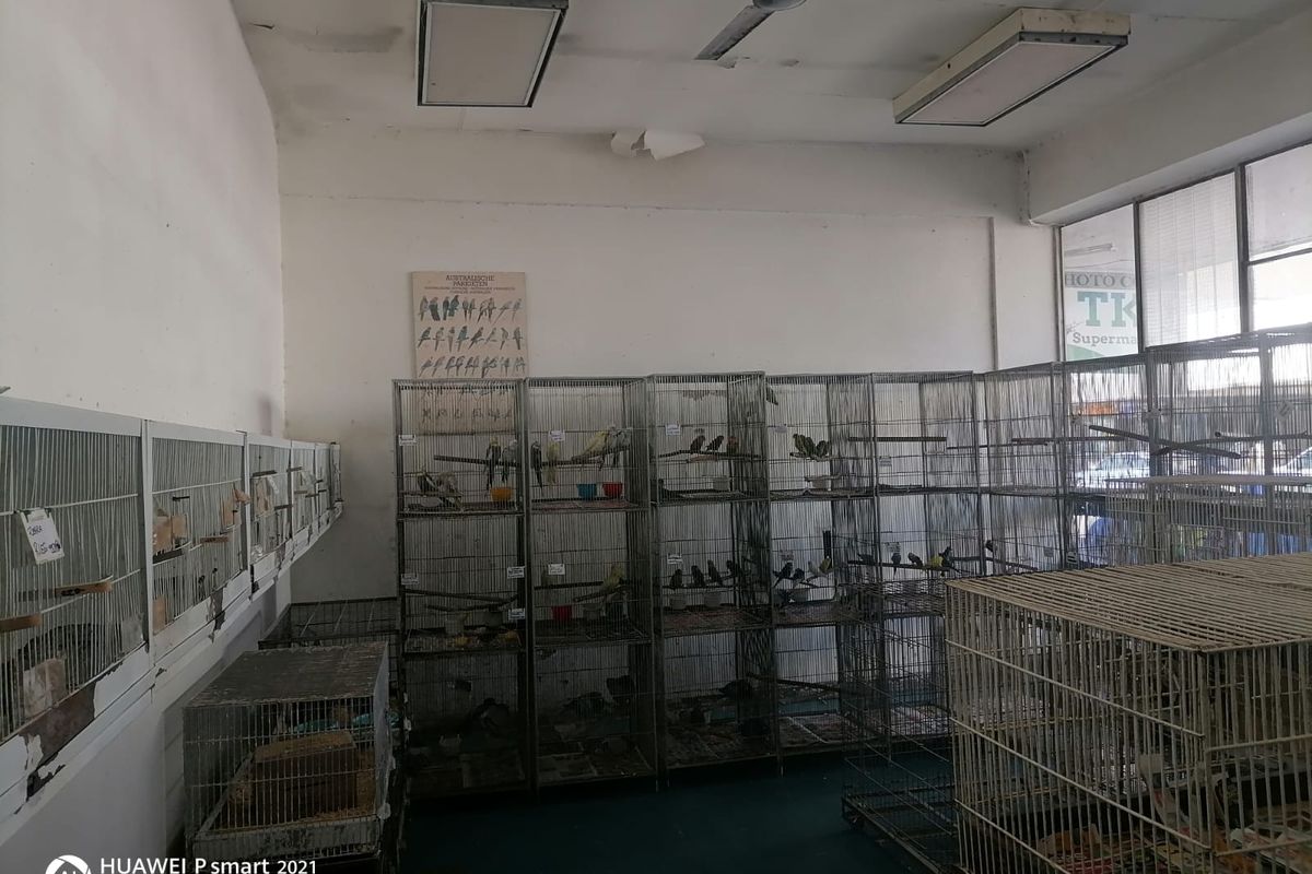 Well-Located Commercial Space for Retail or Service Business - Photo 3