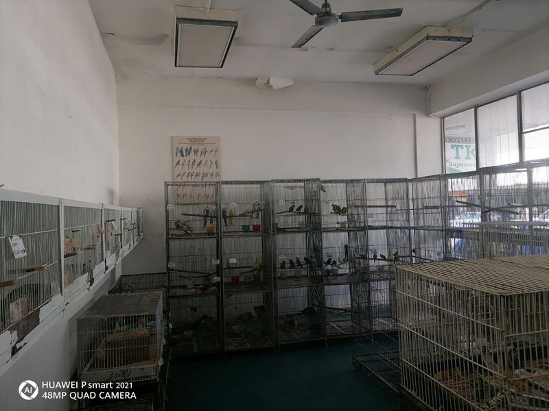 Well-Located Commercial Space for Retail or Service Business - Photo 3