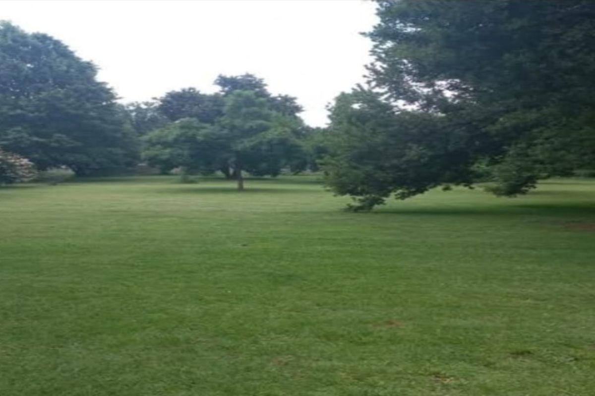 2.2 Hectare Institutional Property – Ideal for Church, Private School or Training Centre - Photo 4