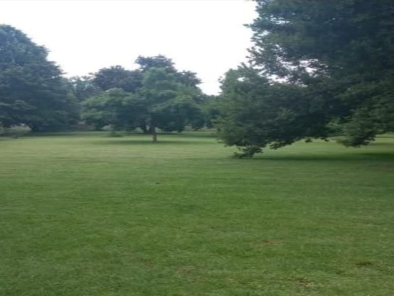 2.2 Hectare Institutional Property – Ideal for Church, Private School or Training Centre - Photo 4