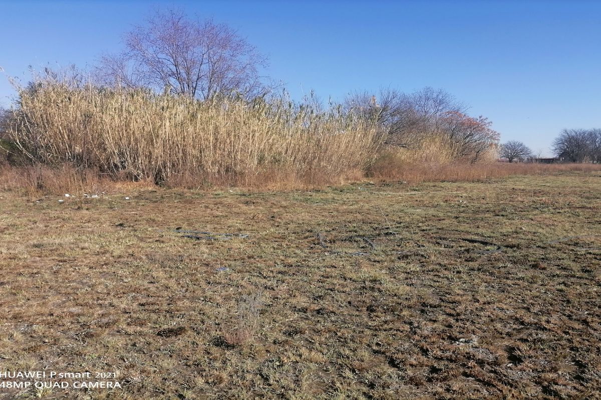 An expansive, undeveloped plot of land featuring natural grass and wild vegetation, suitable for future development or landscaping projects.