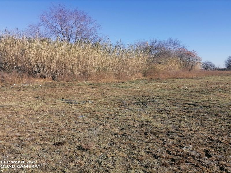 An expansive, undeveloped plot of land featuring natural grass and wild vegetation, suitable for future development or landscaping projects.