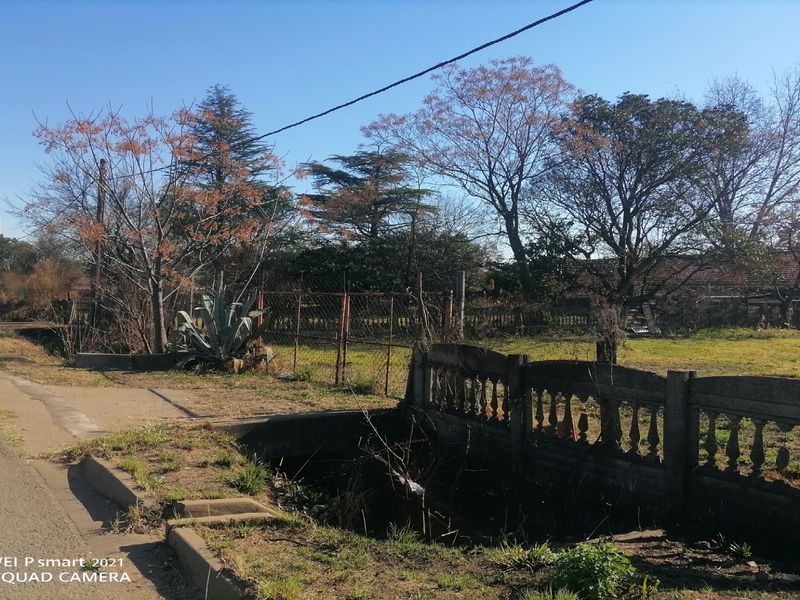 Street view showing a paved road, concrete curb, and a weathered concrete balustrade fence bordering an overgrown property lot.