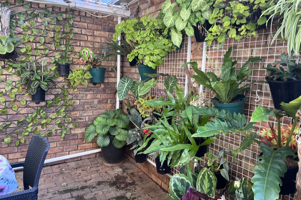 Perfect Simplex in Retirement Village ! - Photo 2