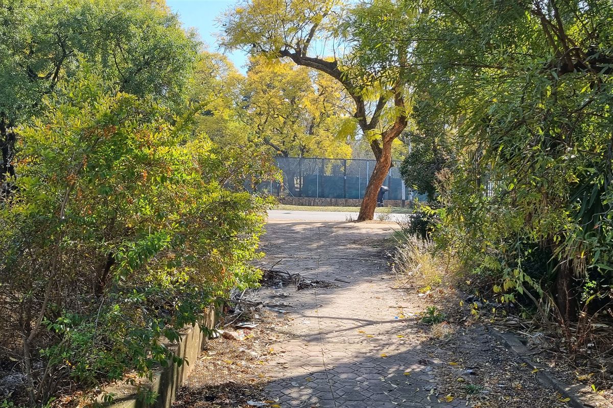 An overgrown garden area featuring a paved walkway, mature trees, and a perimeter wall, requiring significant landscaping and maintenance.