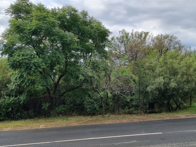 Street view of a vacant residential plot featuring mature trees and established perimeter fencing along an asphalt road.